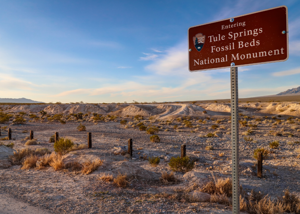#33. Nevada